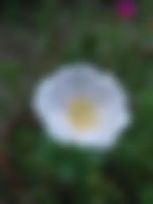 Tanvir's profile photo