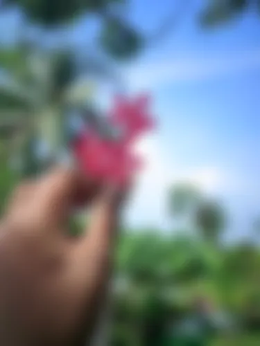 Simran - 18 years, Jhenaidah