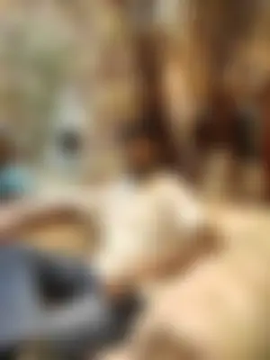 Nayemul hasan's profile photo