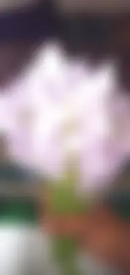 Abu bakar 's profile photo