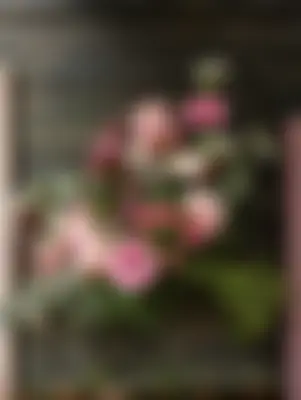 MD Ashraf's profile photo