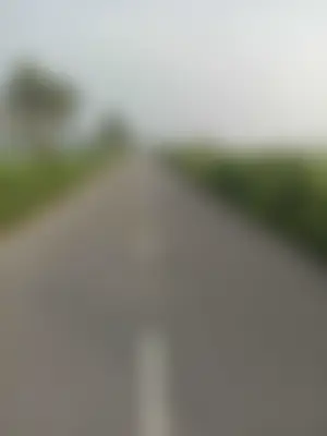 Md syful Islam alamin's profile photo