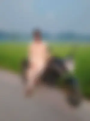 আসিক মাহমুদ 's profile photo