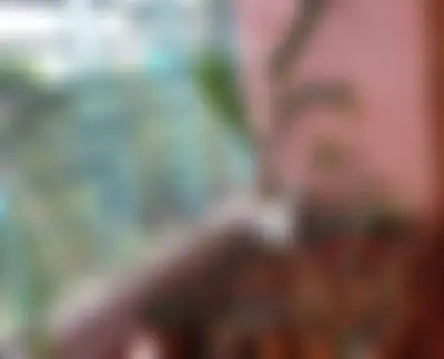 Gm Sobuj ahmed's profile photo