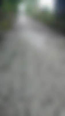 দেলোয়ার 's profile photo