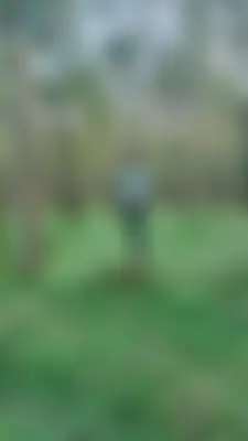 SHAKIL's profile photo