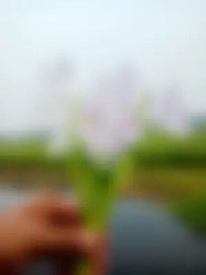 Md Rashiul islam 's profile photo