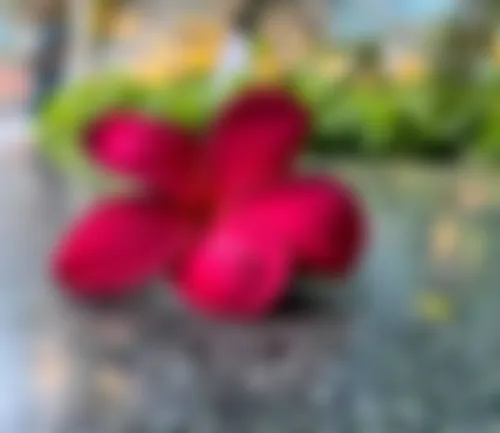 তাসমিন রহমান - 25 years, Noakhali