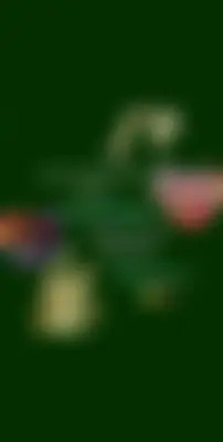 Shihab's profile photo