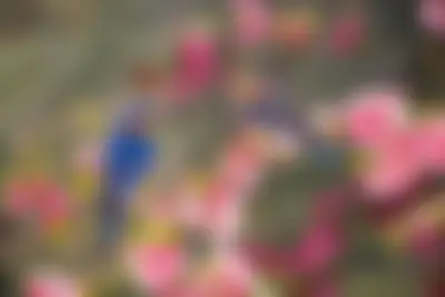 Rahat Rana 's profile photo