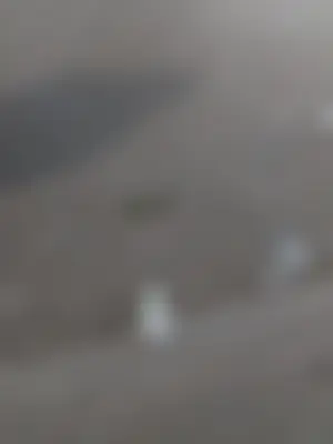 পাএ's profile photo