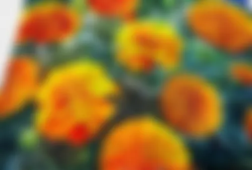 Ema - 28 years, Faridpur