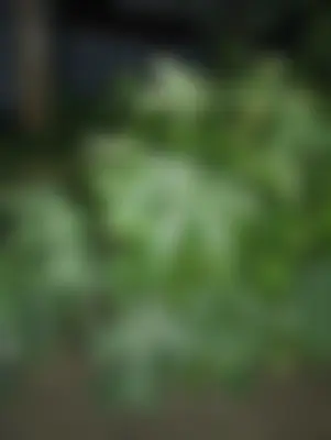 Akash 's profile photo