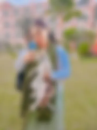 Mahamuda  - 22 years, Chandpur