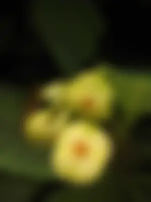 Hussain 's profile photo