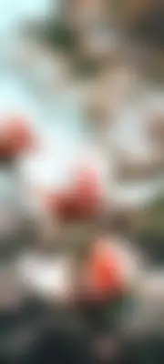 MD Ahmed 's profile photo