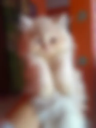 Sara Anam Ani - 19 years, Mymensingh