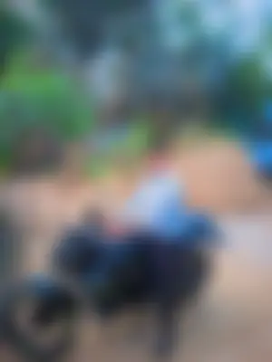 Ashik Ahmed 's profile photo