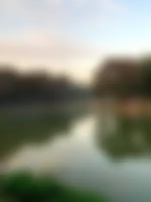 Rifat Ahmed 's profile photo