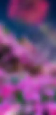 Sumon's profile photo