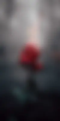 সাফাযেত 's profile photo