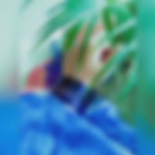 Afsana Afrin - 22 years, Mymensingh