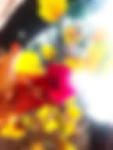 Yesmin islam - 21 years, Rangpur