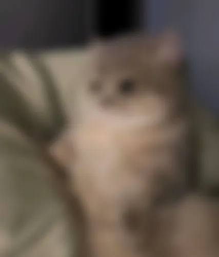 Saba - 24 years, Pabna