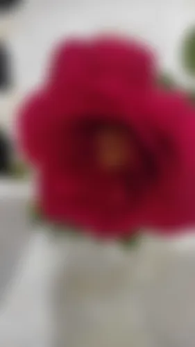 সারমিন - 36 years, Lakshmipur