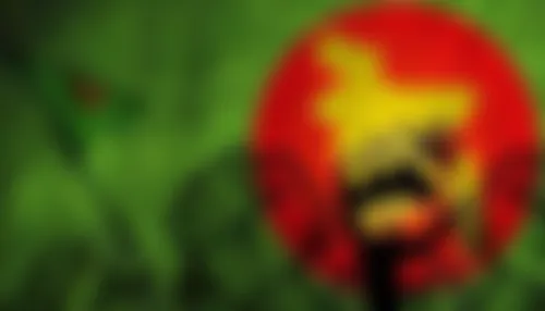 Raisa Mehjabin  - 20 years, Meherpur