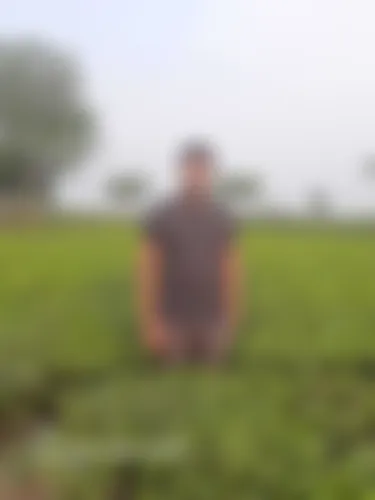 Md Al Amin  - 30 years, Rajshahi