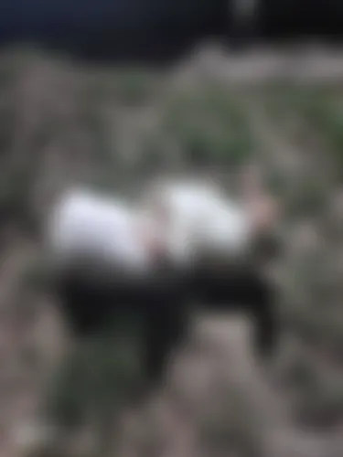 Saima  - 26 years, Sunamganj