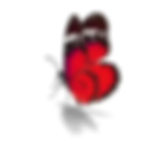 Ahsan  - 42 years, Rangpur