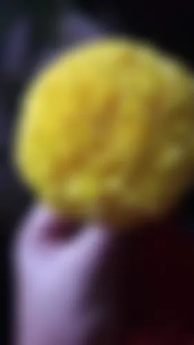 Tisha - 23 years, Brahmanbaria