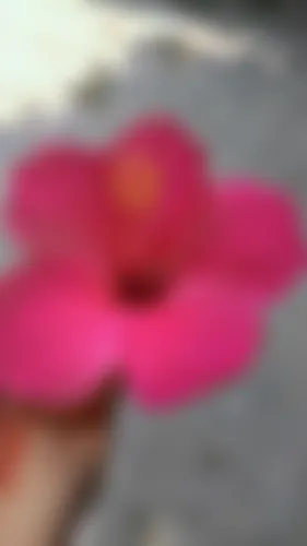 পাত্রী - 22 years, Natore