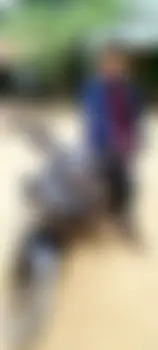 None's profile photo