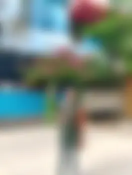 SM: Shakib sheikh  - 23 years, Bagerhat