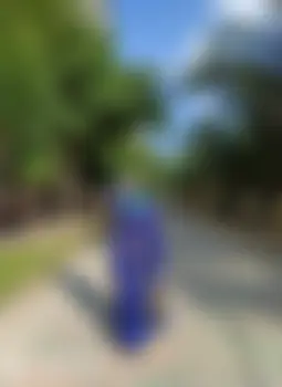 Tasnim's profile photo